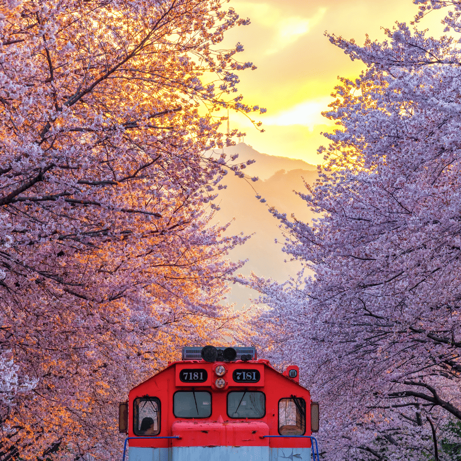 首爾 | 釜山 | 濟州